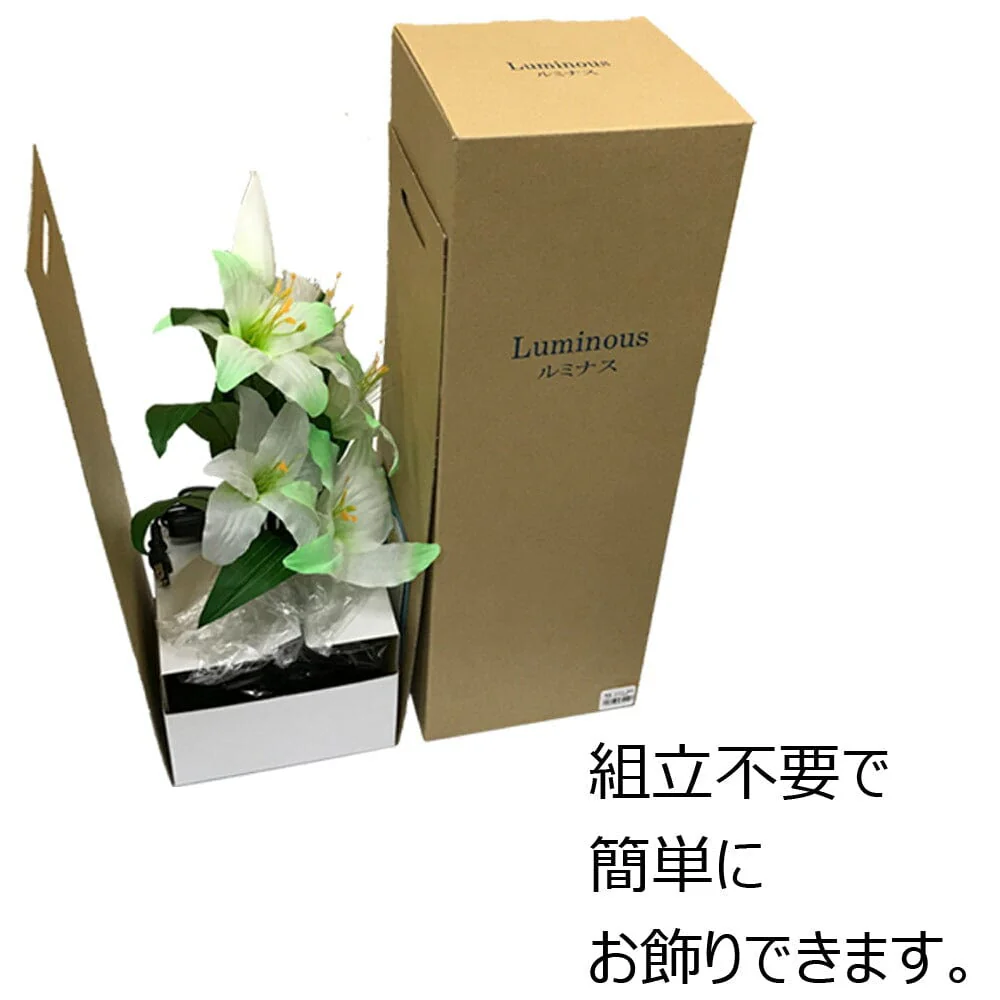 新型 ルミナス 百合LED - Image 8